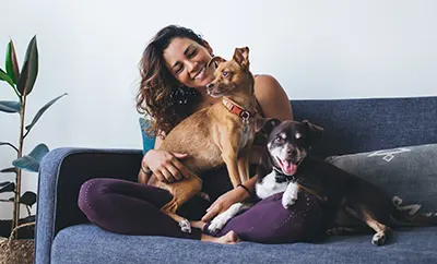 Les chiens - des compagnons loyaux et dynamiques