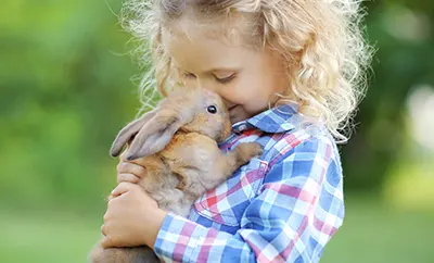 Les petits animaux : douceur et curiosité